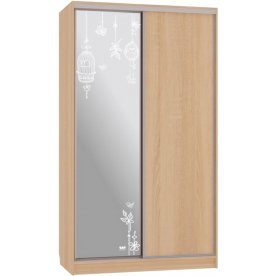 Шкаф-купе Рио 1-600