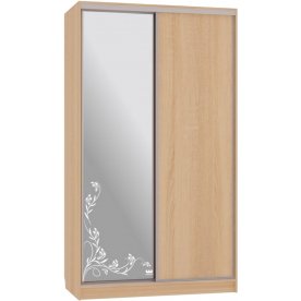 Шкаф-купе Рио 1-600