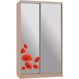 Шкаф-купе Рио 4-600