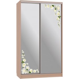 Шкаф-купе Рио 4-600