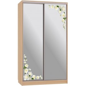 Шкаф-купе Рио 4-600