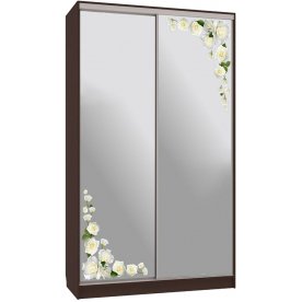 Шкаф-купе Рио 4-600