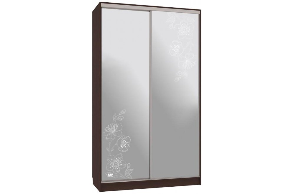 Шкаф-купе Рио 4-600 токио / венге