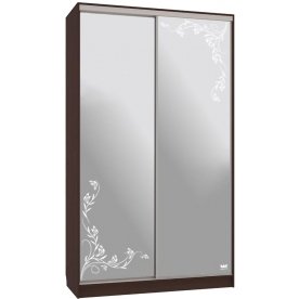 Шкаф-купе Рио 4-600