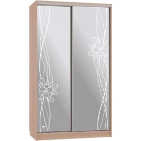 Шкаф-купе Рио 4-600