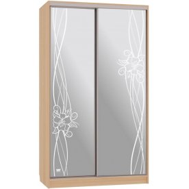 Шкаф-купе Рио 4-600