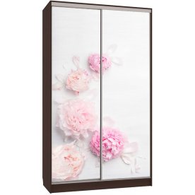 Шкаф-купе Рио 7-600 17