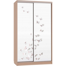 Шкаф-купе Рио 7-600 18