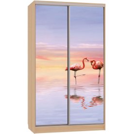 Шкаф-купе Рио 7-600 19