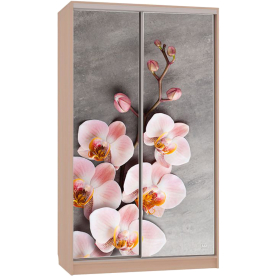 Шкаф-купе Рио 7-600 78