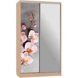 Шкаф-купе Рио 9-600 78