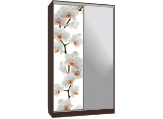 Шкаф-купе Рио 9-600 83