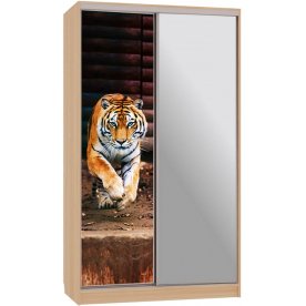 Шкаф-купе Рио 9-600 87