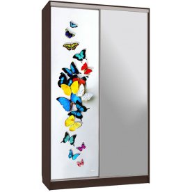 Шкаф-купе Рио 9-600 88