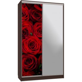 Шкаф-купе Рио 9-600 89