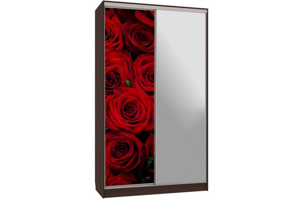 Шкаф-купе Рио 9-600 89 венге