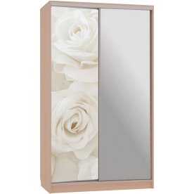 Шкаф-купе Рио 9-600