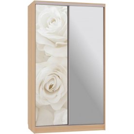 Шкаф-купе Рио 9-600