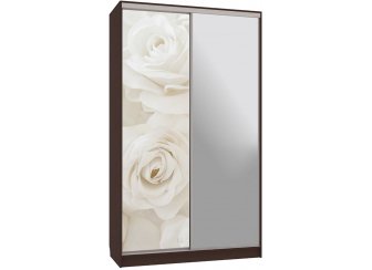 Шкаф-купе Рио 9-600