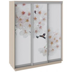 Шкаф-купе Румер 180х60х220