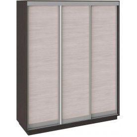 Шкаф-купе Румер 180х60х220