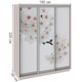 Шкаф-купе Румер 180х60х220