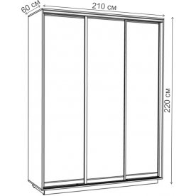 Шкаф-купе Румер 210х60х220