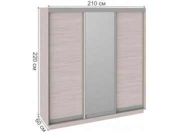 Шкаф-купе Румер 210х60х220