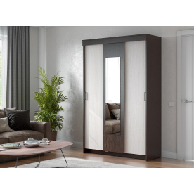 Шкаф-купе ШКП 2