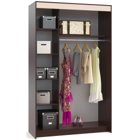 Шкаф-купе ШР-156.2