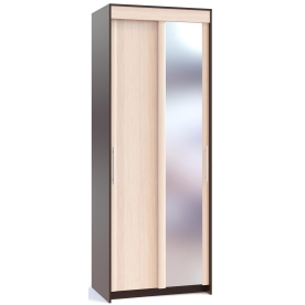 Шкаф-купе ШР-94.2