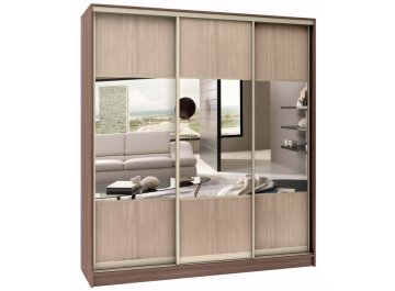 Шкаф-купе Стандарт Комбо 3.1 ШК.011.2400-19