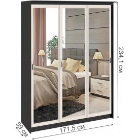 Шкаф-купе Стэн Лайт 140.10.005