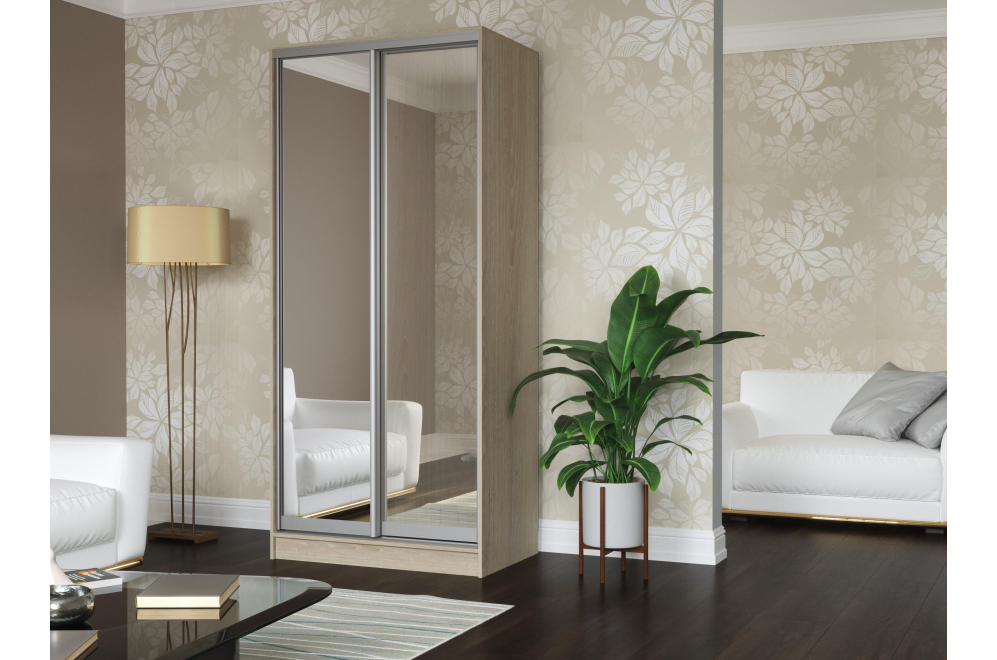 Шкаф-купе Зеркало-2 1200х2200х600 дуб беленый