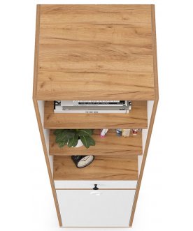 Книжный шкаф Вель 13.146 белый премиум / дуб золотой craft