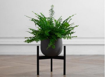 Цветочница Агния 10