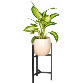 Цветочница Агния 20