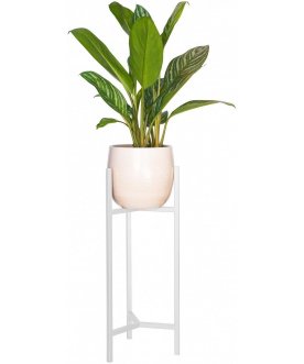 Цветочница Агния 10