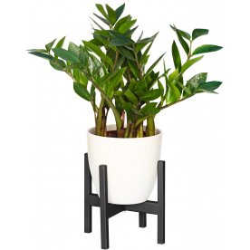 Цветочница Верона 10