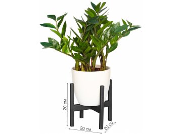 Цветочница Верона 10