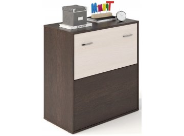 Тумба Банга-4 венге / дуб молочный