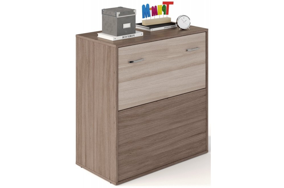 Тумба Банга-4 ясень темный / ясень светлый