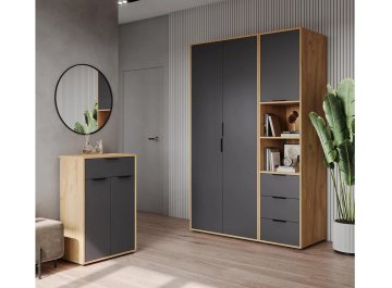 Модульная прихожая Оптима ОП-109