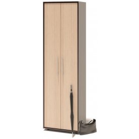 Модульная прихожая ВШ-6 + ШО-1