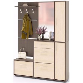 Прихожая ВШ-5 + ТП-1 + ТП-4 + ПЗ-4