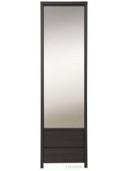 Шкаф однодверный Каспиан SZF 1D2SP венге