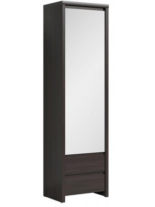 Шкаф однодверный Каспиан SZF 1D2SP венге