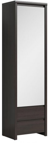 Шкаф однодверный Каспиан SZF 1D2SP венге