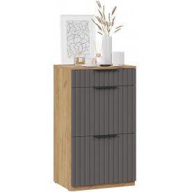 Обувница Хилтон 550 Исполнение 2.1