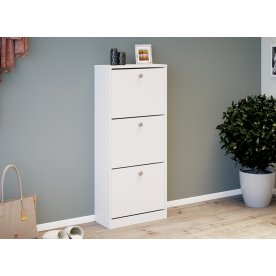 Обувница Тетра Тип 1 исполнение 2